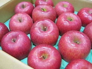 日本水果蔬菜市場解析 從代購、價格到二手商品的購買指南